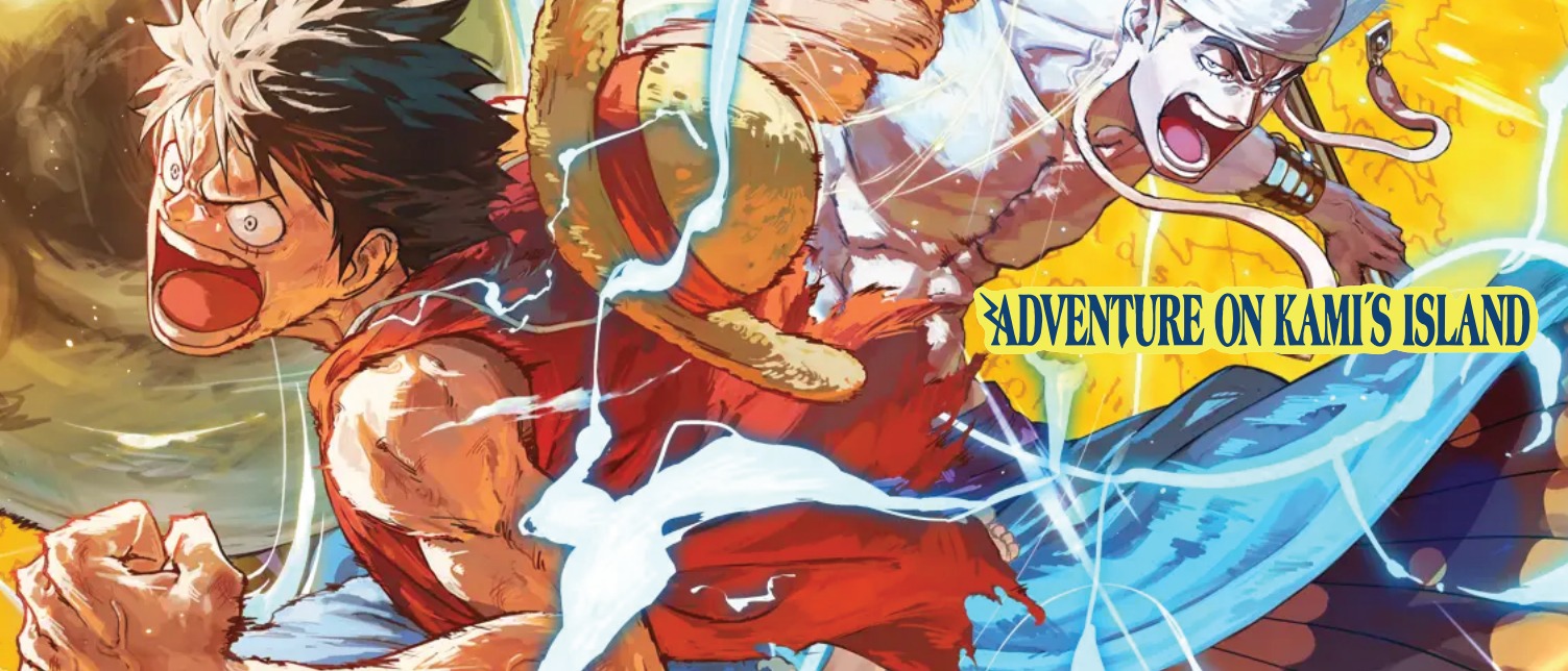 One Piece Banner